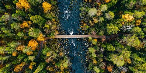 Sustainability Hub Key Visual