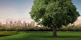 Park landscape in front of a skyline