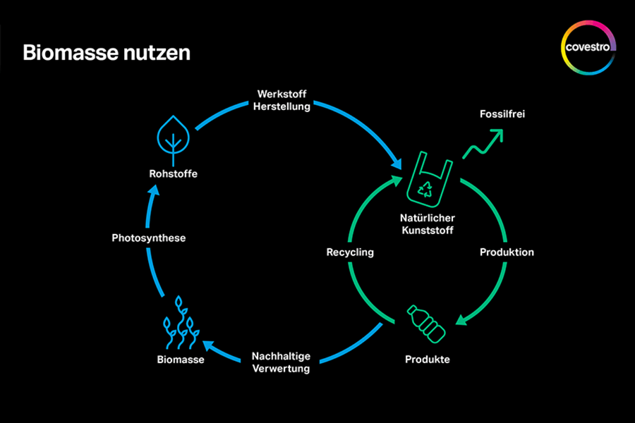 Biomasse nutzen Grafik