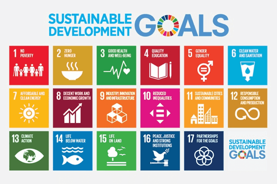 Sustainable development goals