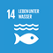 UNSDG 14: Leben unter Wasser
