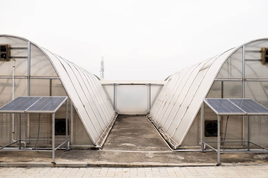 Solar Dryer