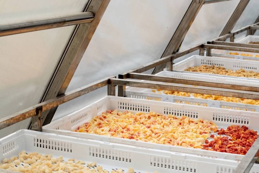 Drying process in the solar dryer