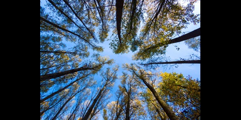 Innovating for a Sustainable Future